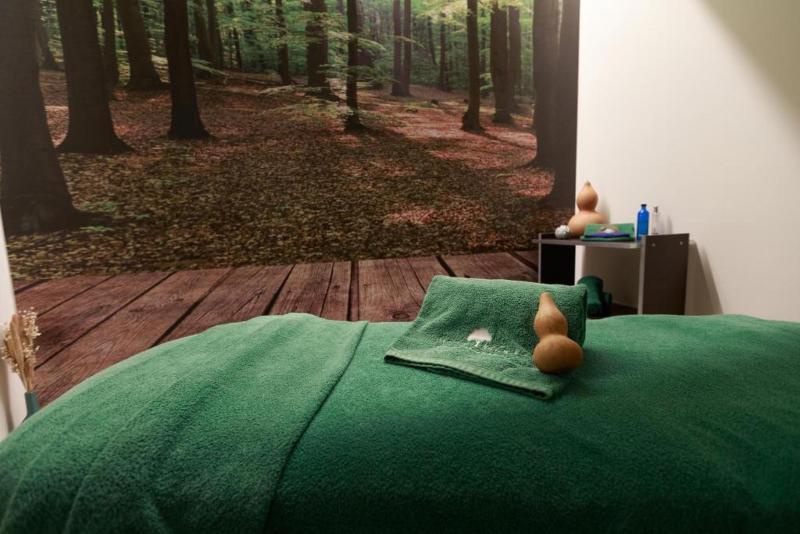 Olive Nature Hotel & SPA - Quinta Valle de Passos - Aktivite