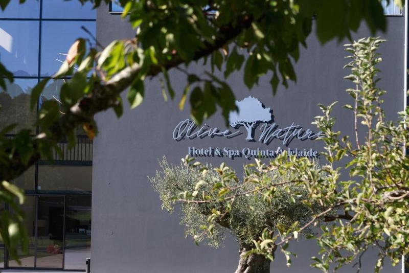 Olive Nature Hotel & SPA - Quinta Valle de Passos - Genel