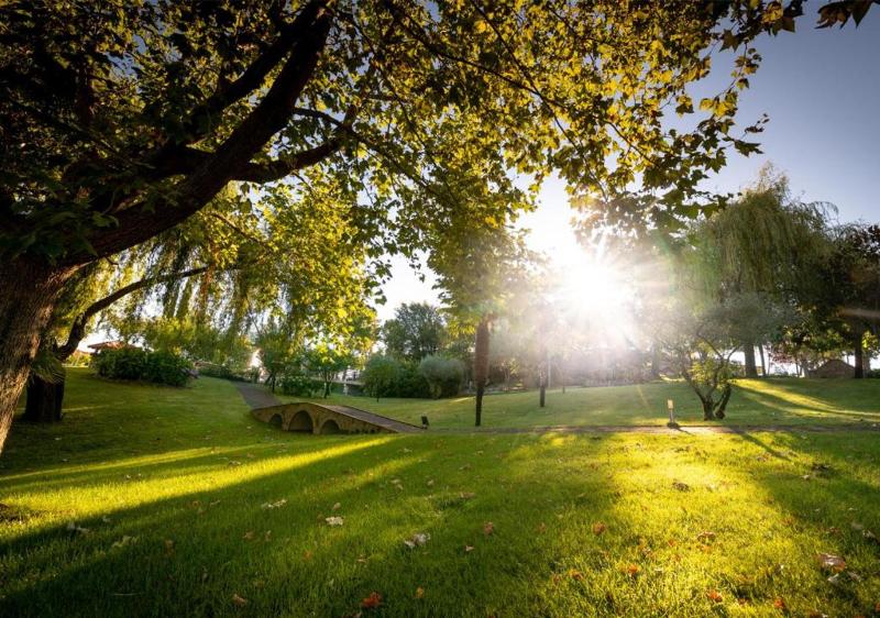 Olive Nature Hotel & SPA - Quinta Valle de Passos - Genel