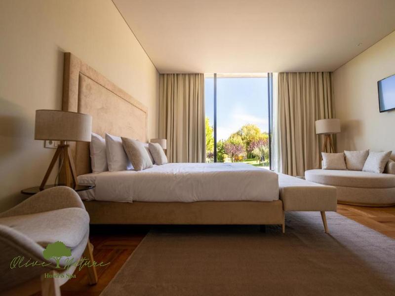 Olive Nature Hotel & SPA - Quinta Valle de Passos - Oda