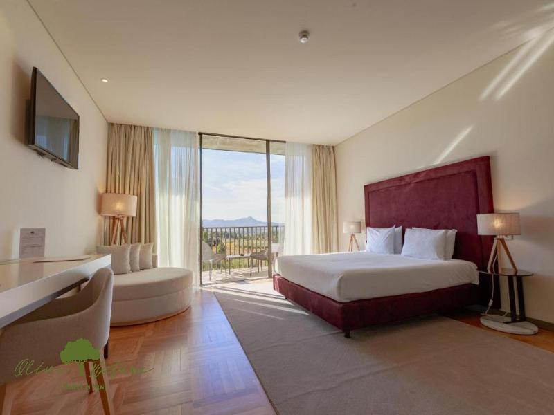 Olive Nature Hotel & SPA - Quinta Valle de Passos - Oda