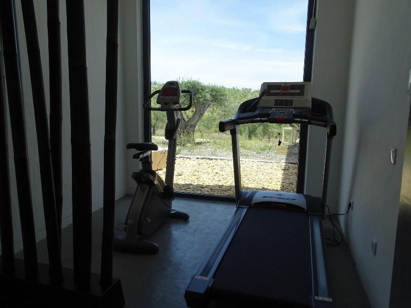 Monte da Estrela Country House & SPA - Aktivite