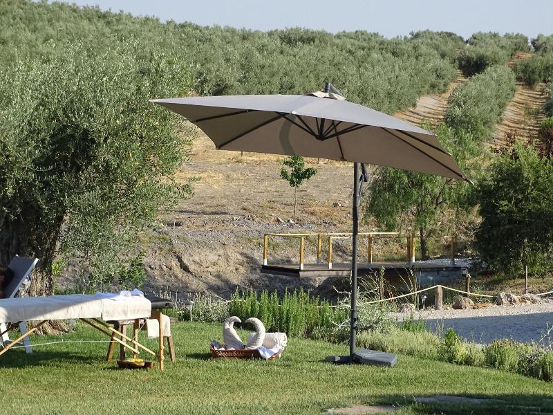 Monte da Estrela Country House & SPA - Genel