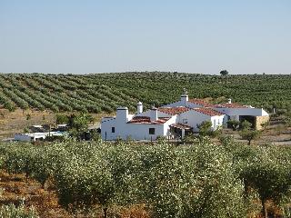 Monte da Estrela Country House & SPA fotoÄŸrafÄ±