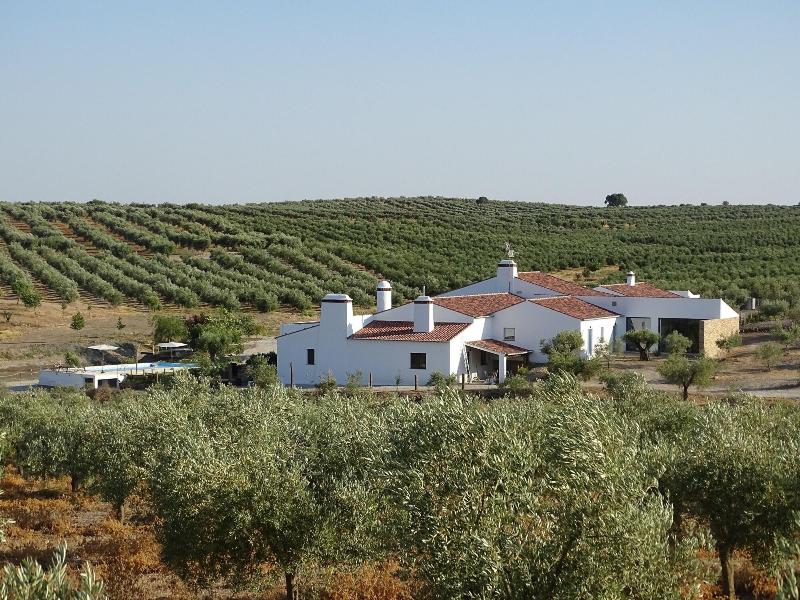 Monte da Estrela Country House & SPA - Genel