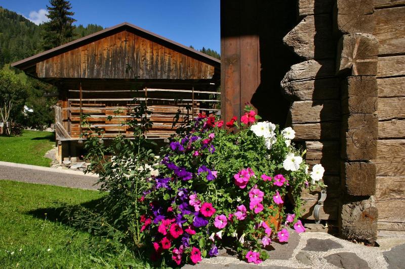 Albergo Diffuso Sauris Di Sotto - Genel