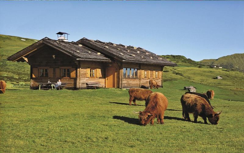 Sonnenhotel Adler - Genel