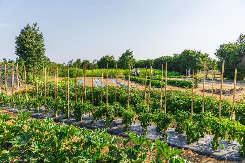 La Posa Degli Agri - Genel