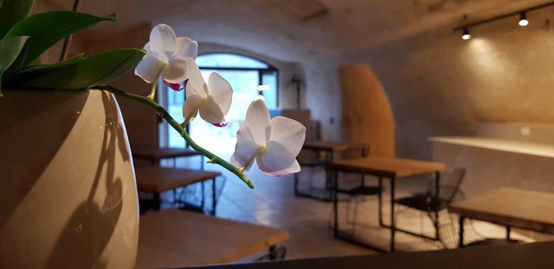 Masseria Santa Lucia - Lobi