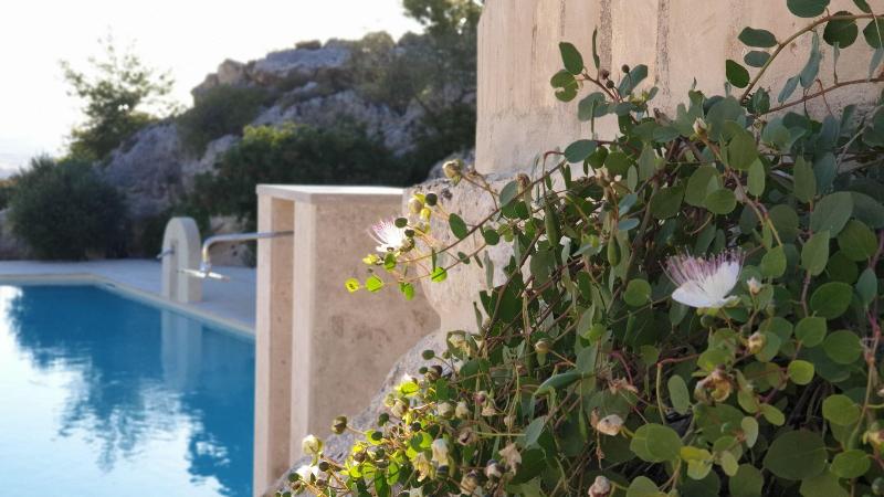 Masseria Santa Lucia - Aktivite
