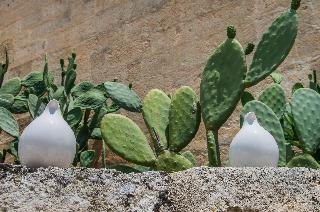 Masseria Santa Lucia fotoÄŸrafÄ±