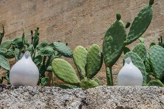 Masseria Santa Lucia fotoÄŸrafÄ±