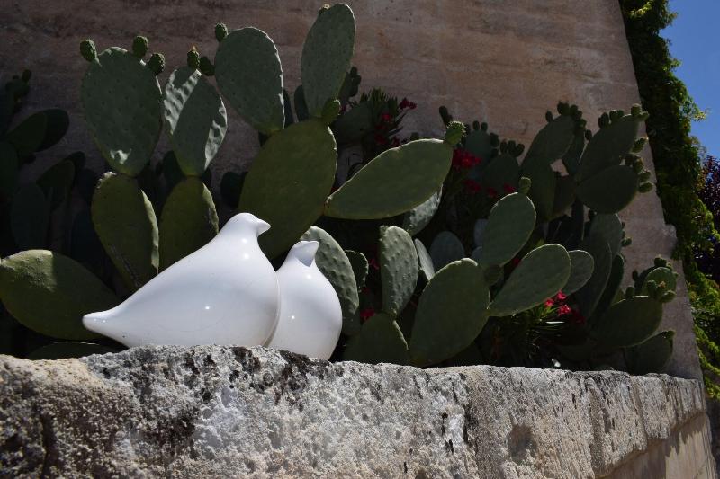 Masseria Santa Lucia - Genel
