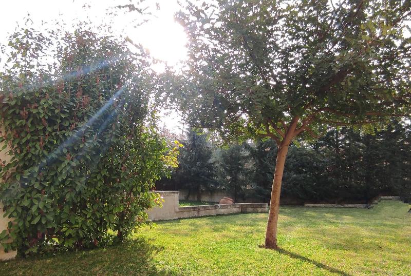 Masseria Santa Lucia - Oda