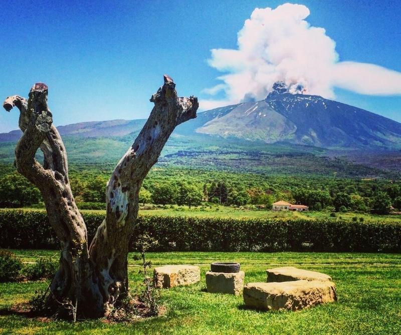 La Fucina Di Vulcano - Oda