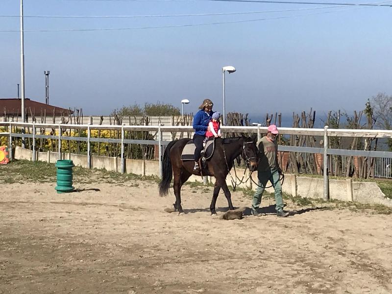 Hotel Due Pini - Aktivite