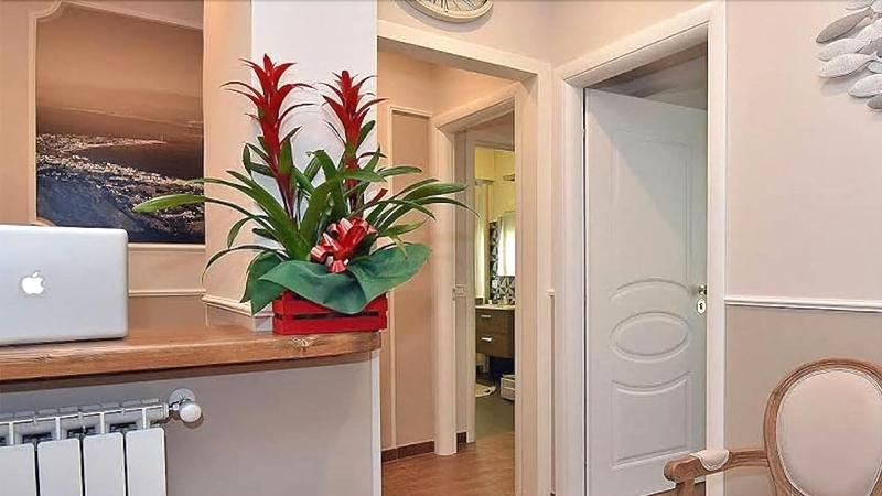 B&B Paradiso Relais - Lobi