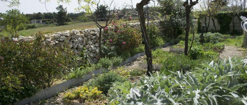Masseria La Meridiana - Genel