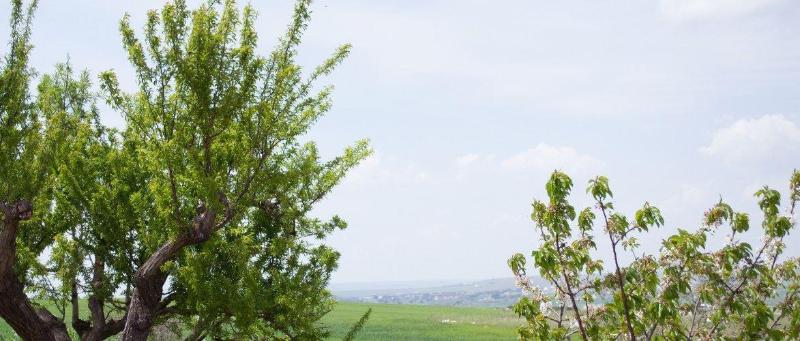 Masseria La Meridiana - Genel