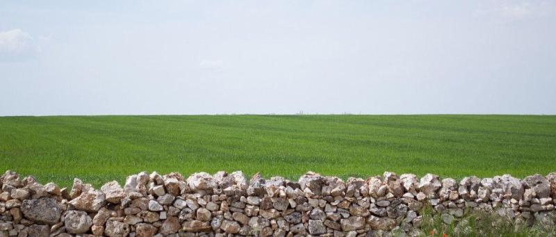 Masseria La Meridiana - Genel