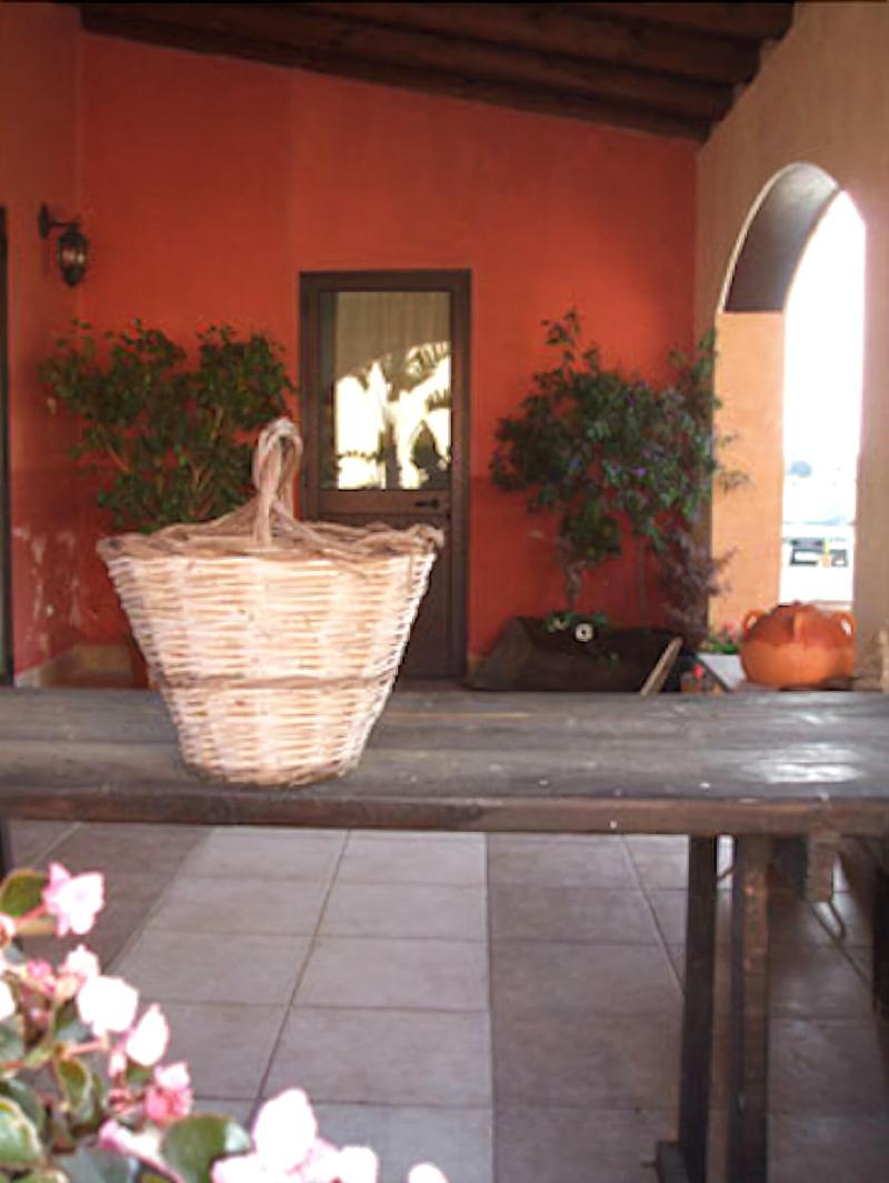 Le Terre Di San Domenico - Genel