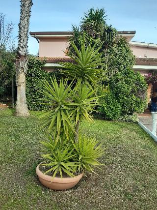 B&B Villa Giovanni fotoÄŸrafÄ±