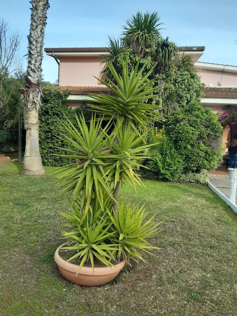 B&B Villa Giovanni - Genel