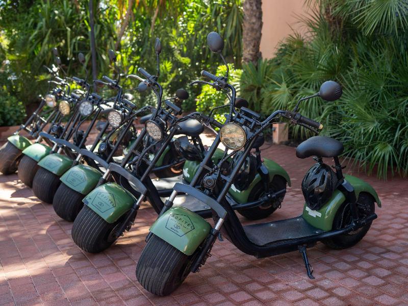 Sofitel Marrakech Palais Imperial & Spa - Genel