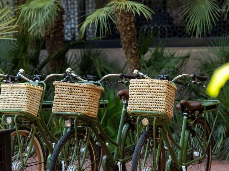 Sofitel Marrakech Palais Imperial & Spa - Genel