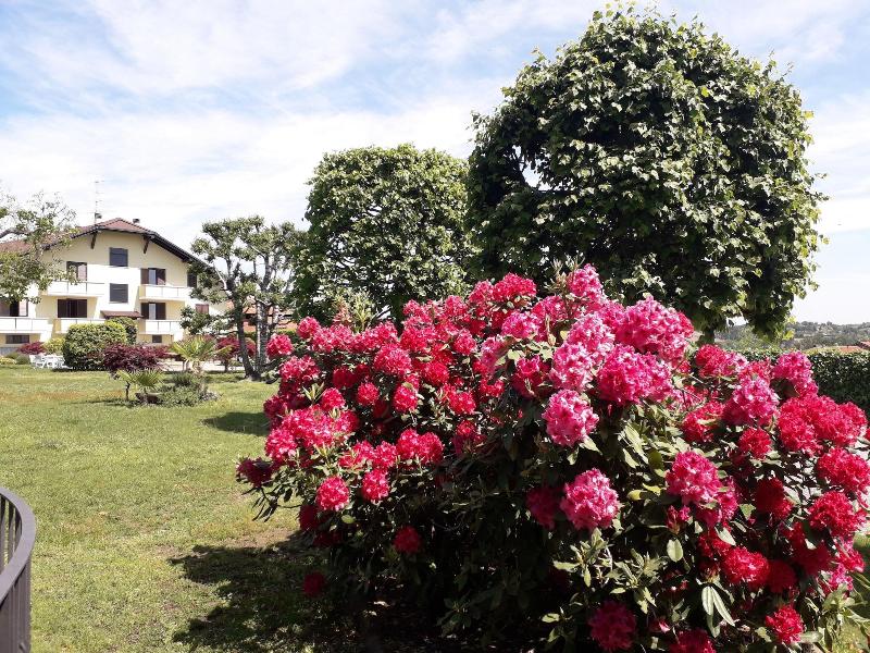 Albergo Residence Isotta - Aktivite