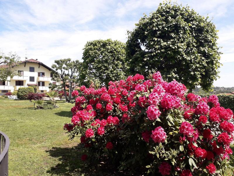 Albergo Residence Isotta - Aktivite