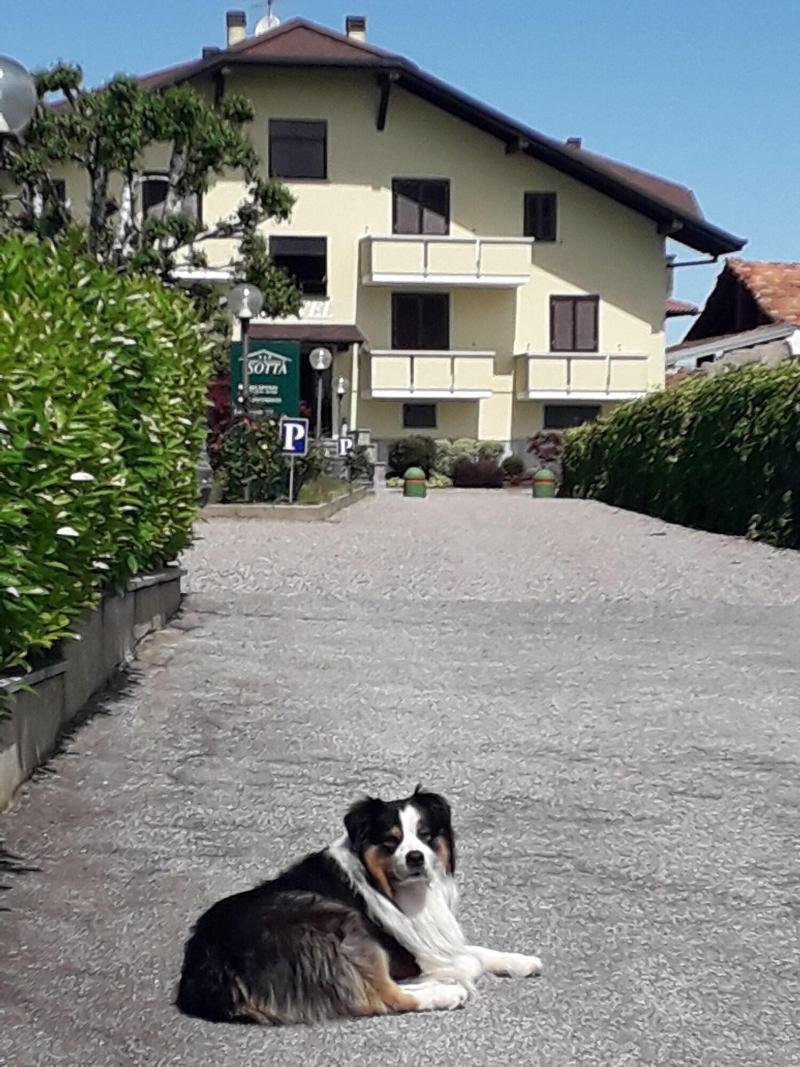 Albergo Residence Isotta - Genel