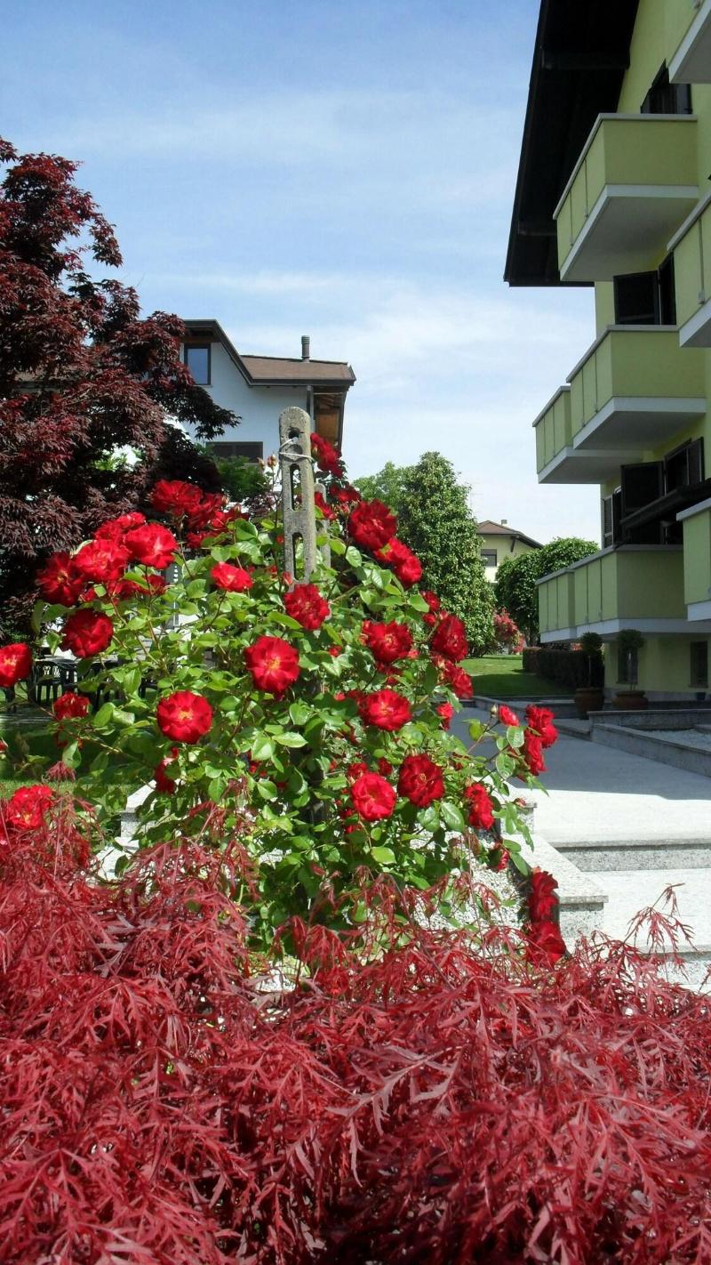 Albergo Residence Isotta - Genel