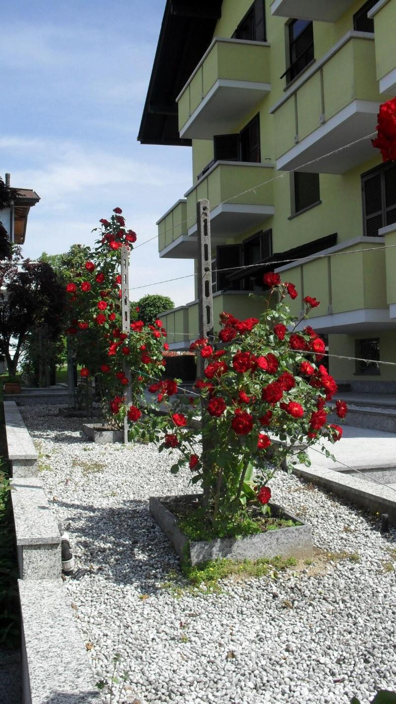 Albergo Residence Isotta - Genel