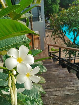 Ao Luek Panoramic Pool Villa fotoÄŸrafÄ±