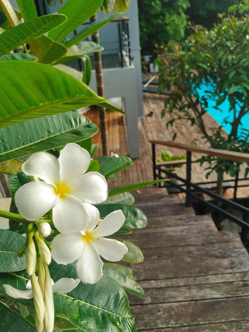 Ao Luek Panoramic Pool Villa - Genel
