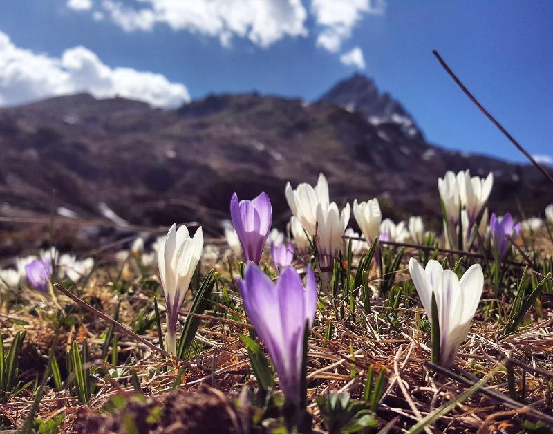 Arlberg Stuben - Aktivite