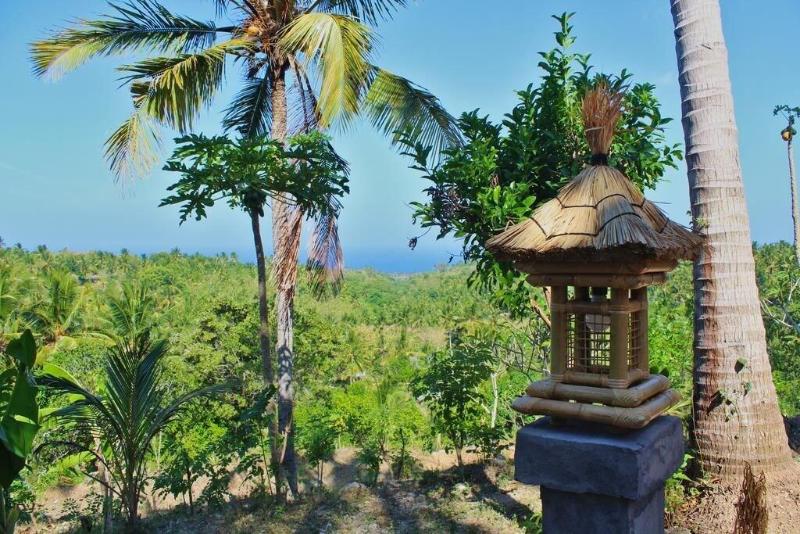 Atuh Forest Cottage - Genel