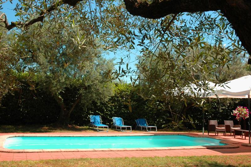 B&b Casale Ansamagi - Aktivite