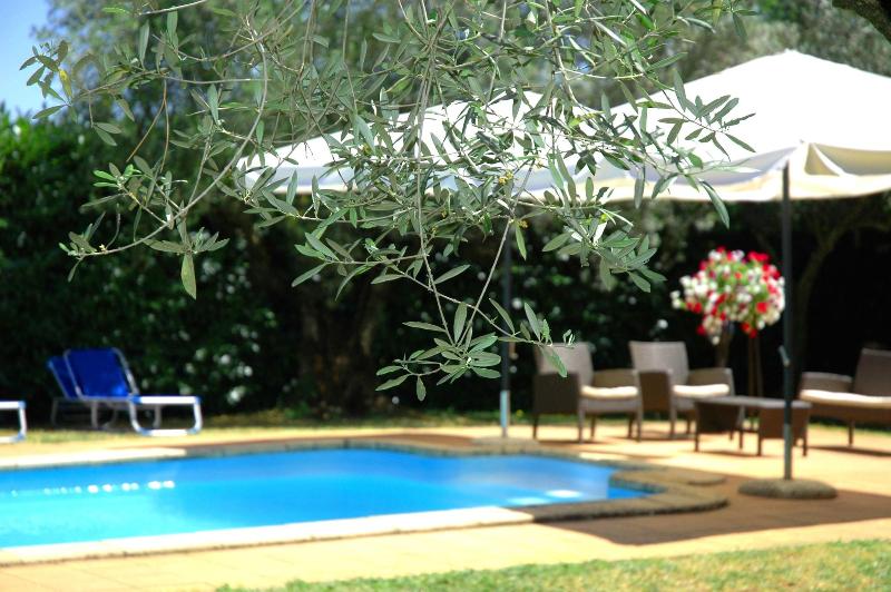 B&b Casale Ansamagi - Aktivite