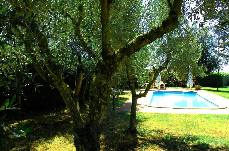 B&b Casale Ansamagi - Genel