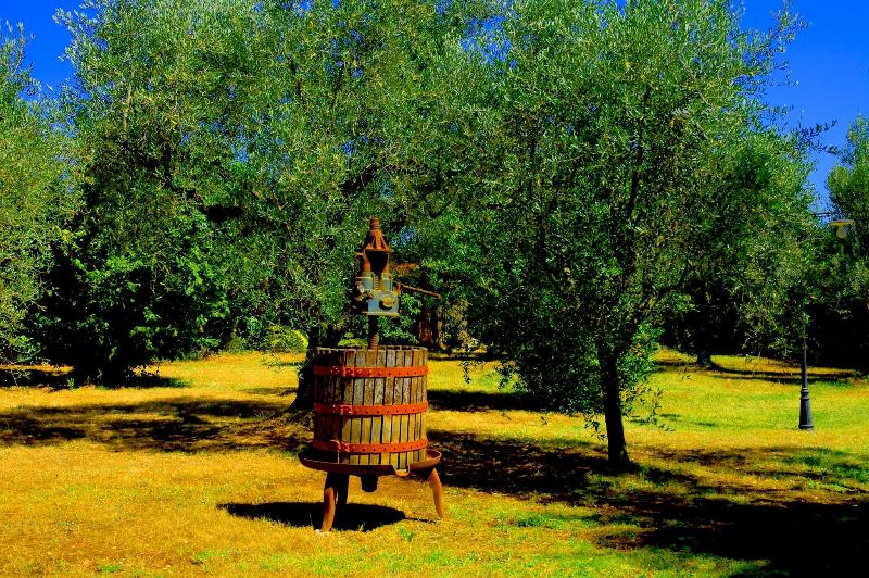 B&b Casale Ansamagi - Genel