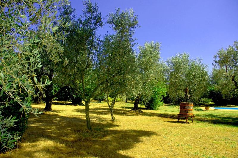 B&b Casale Ansamagi - Teras
