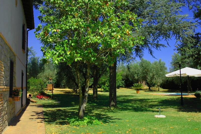 B&b Casale Ansamagi - Teras