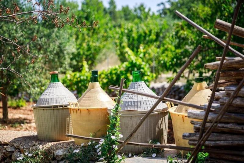 B&B Mandorla Amara - Aktivite