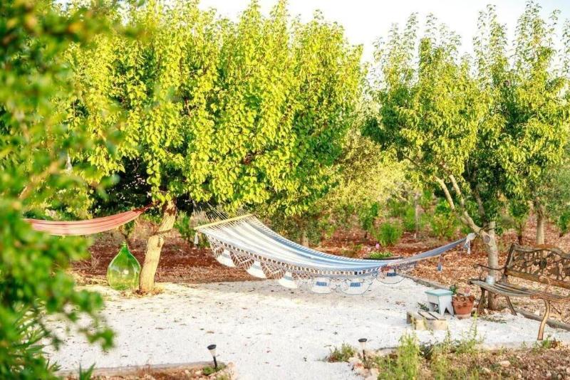 B&B Mandorla Amara - Genel