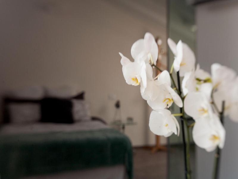 B&B San Clemente - Genel