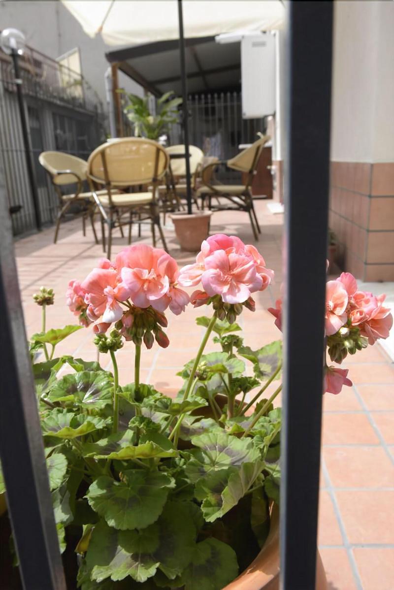 B&B San Leonardo - Genel