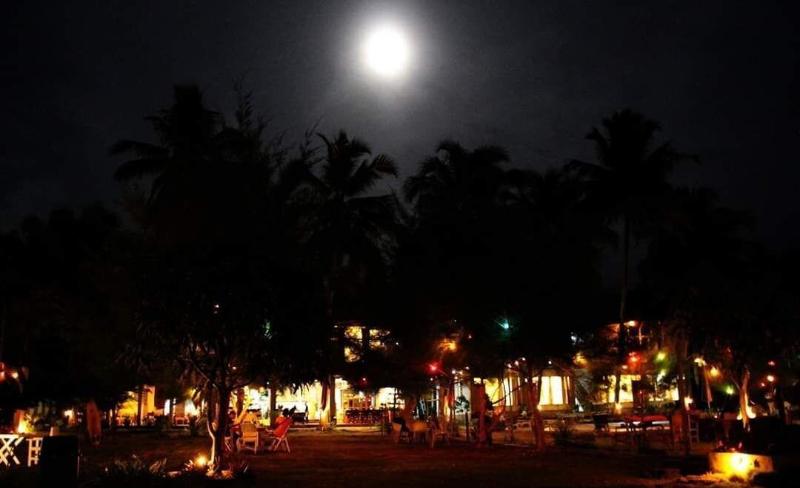 Baloho Beach Hotel - Genel
