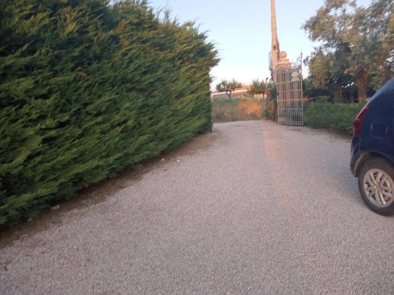 Bed & Breakfast Giardino Agritourist - Genel